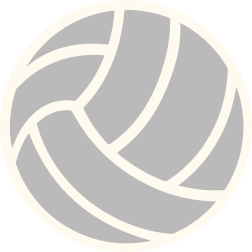 Silver Ball