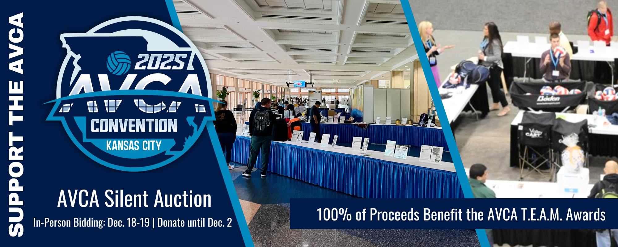 2025 AVCA Auction