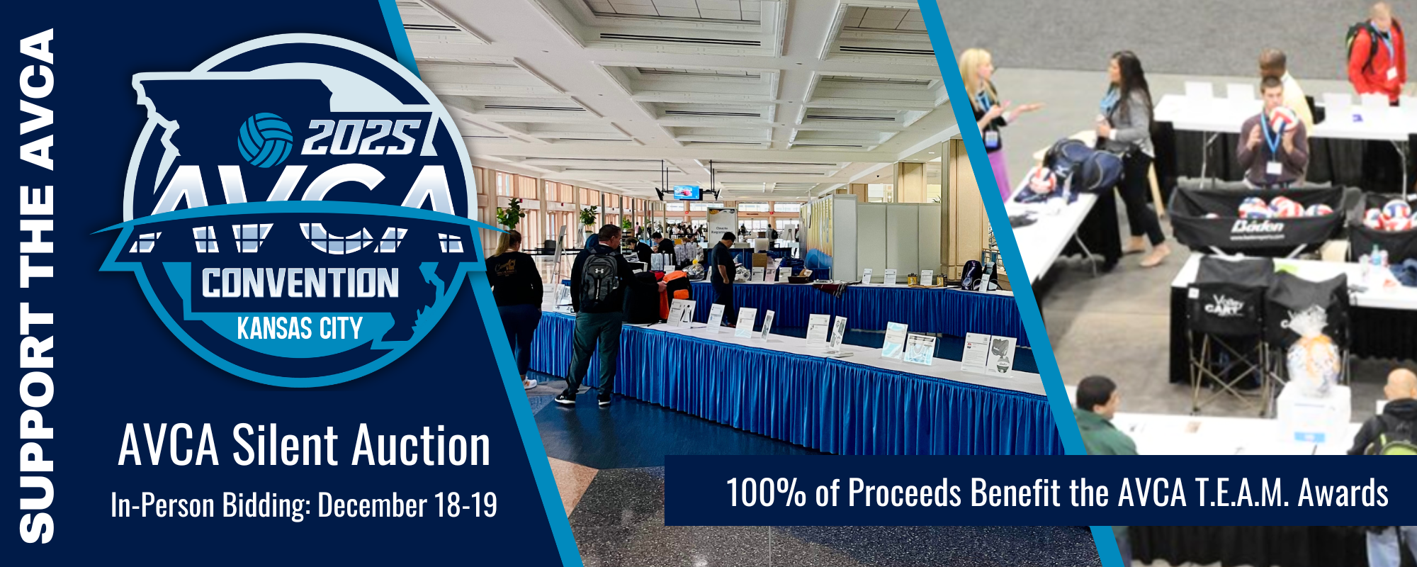 2025 AVCA Auction Web Banner